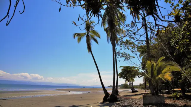 Playa Nicuesa: A Trip to Southern Costa Rica
