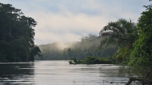 Tortuguero, the coast, and <br><b>the Caribbean in Costa Rica</b>