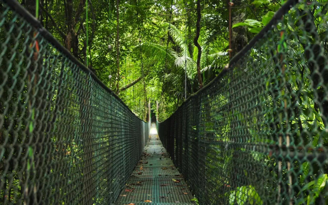 Tirimbina au Costa Rica
