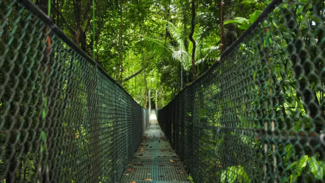 How much does a trip to Costa Rica cost?