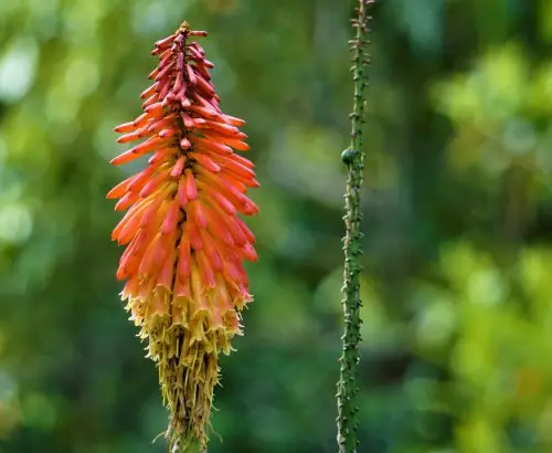 Agroecology in Costa Rica