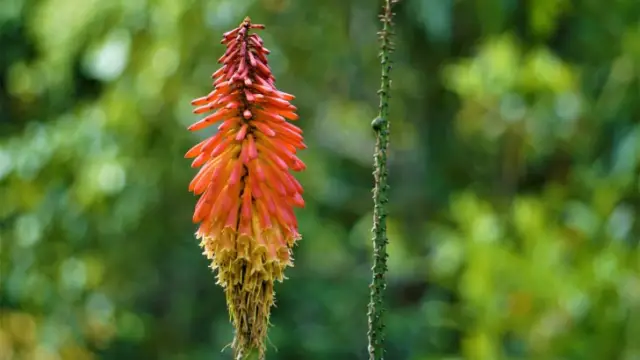 Agroecology in Costa Rica