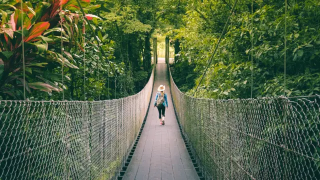 Top 5 Must-Do Activities in Costa Rica