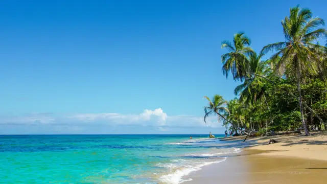 The Most Beautiful Beaches in Costa Rica <br><b> Caribbean and Pacific</b>