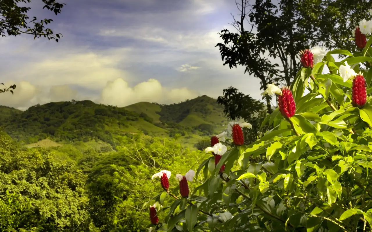 Paysage typique du Costa Rica - immersion nature 