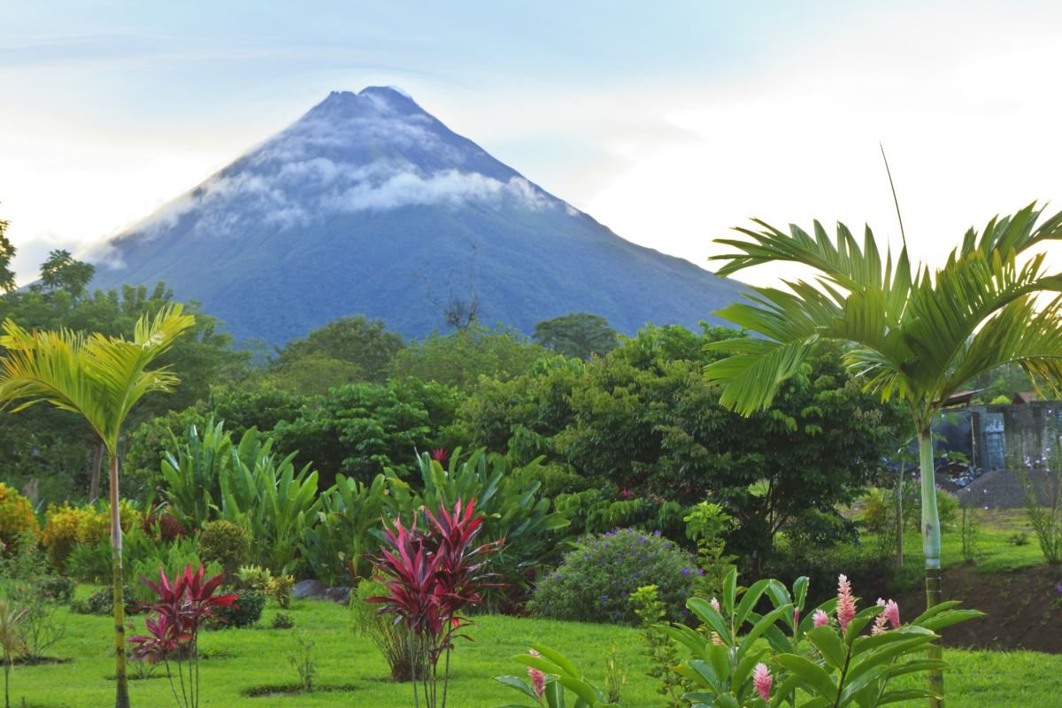 Volcan Arenal voyage ornithologique costa rica 
