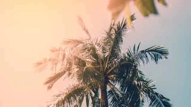 Bocas del Toro, a tropical getaway in a paradise-like setting