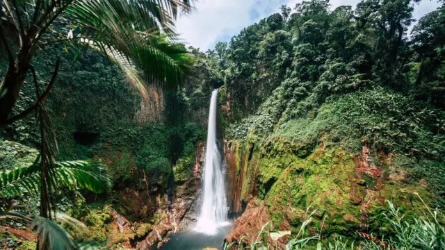 Road Trip in Costa Rica: An Unforgettable Adventure to Discover All the Wonders of the Land of Green Gold!