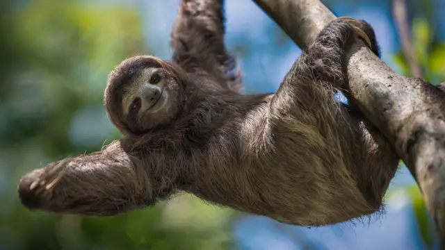 When to Start Planning Your Trip to Costa Rica