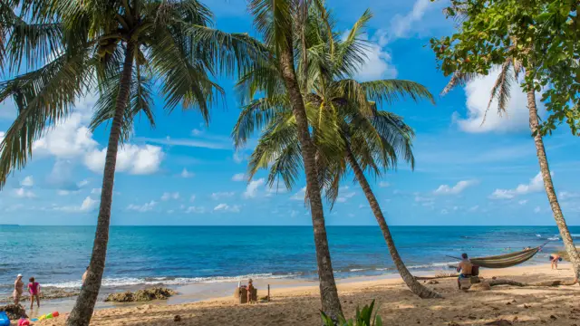Discover Costa Rica and its natural wonders with your family!