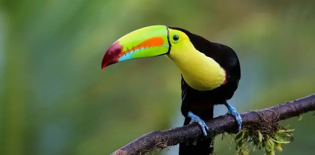 Discover Costa Rica&rsquo;s western region and its authentic attractions!