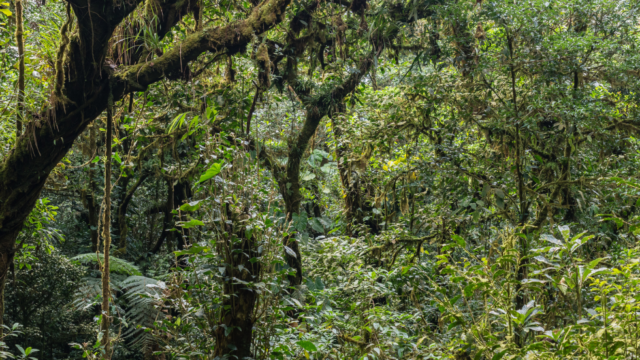 Hollywood Takes a Trip to Costa Rica!