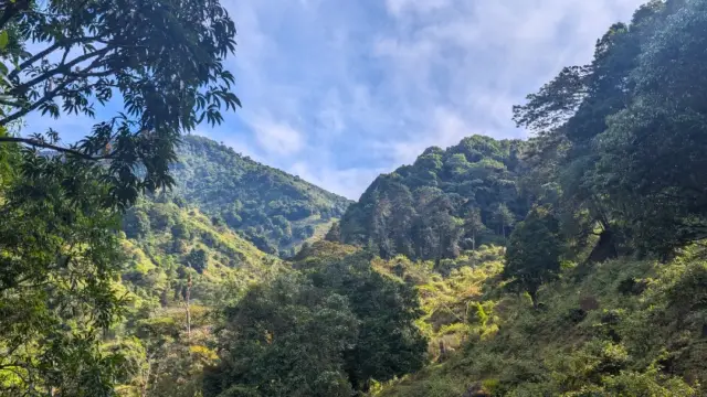 How does Terra Caribea select its partners in Costa Rica?