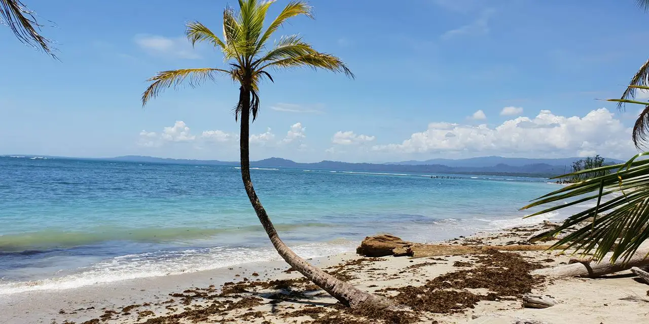 Photo d'une plage du parc national de Cahuita 