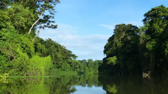 <b>Tortuguero, or « Little Amazon »</b><br> in Costa Rica