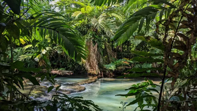 <b>Adventure Travel and </b>Pura Vida in Costa Rica