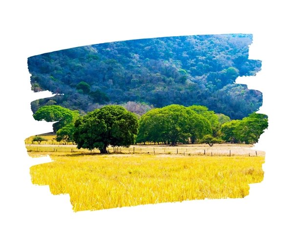The Guanacaste Region