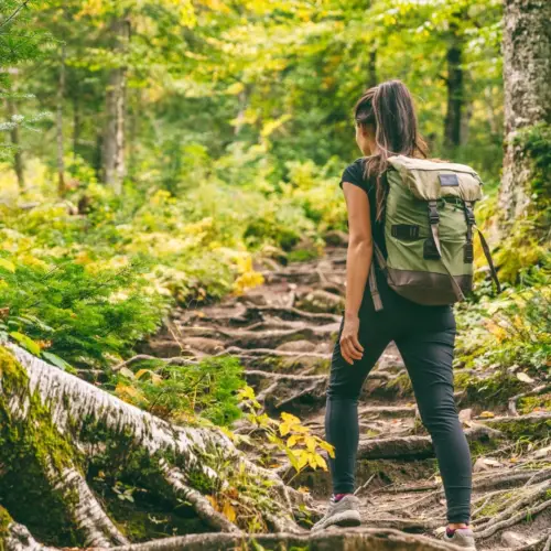 Camino de Costa Rica: An Authentic Experience Connecting with Locals