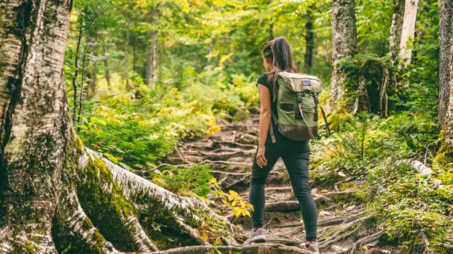 Camino de Costa Rica: An Authentic Experience Connecting with Locals