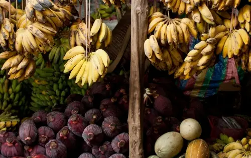 <b>The Mercado Central,</b> <br> Market & Popular Culture in Costa Rica