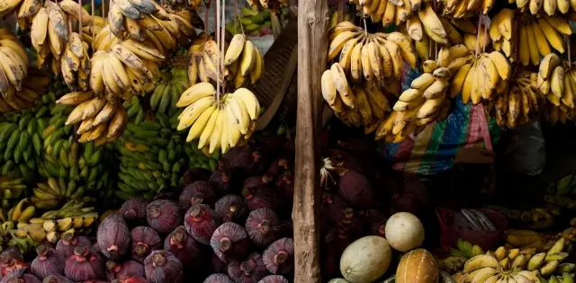 <b>The Mercado Central,</b> <br> Market & Popular Culture in Costa Rica