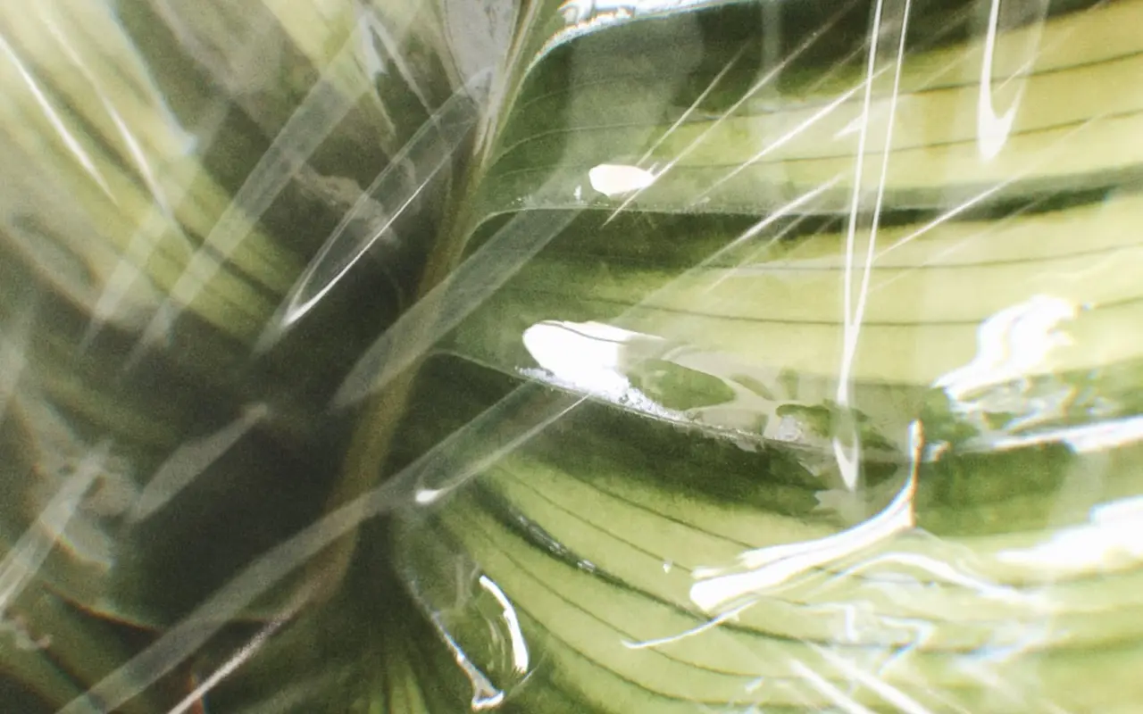 ecologie costa rica