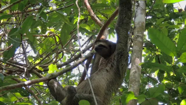 My Journey Through Costa Rica&rsquo;s Ecosystem