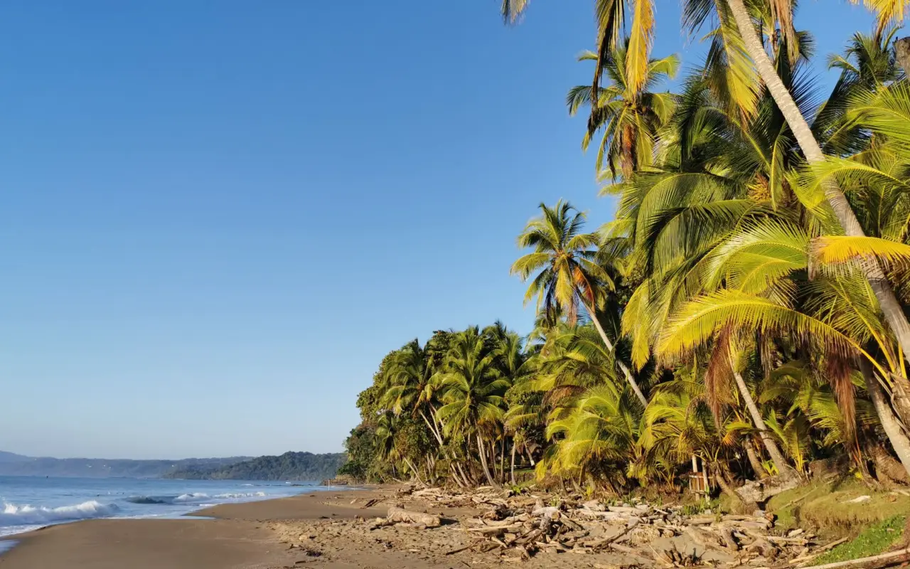 Plage de Tango Mar à Tambor avec ses cocotiers 