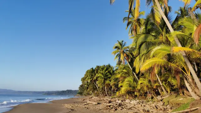 Travelogue: The Pacific Coast and Northern Volcanoes by Camille and Cristo of Terra Caribea