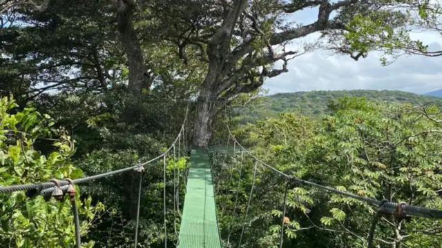 The Authentic Side of Northern Costa Rica