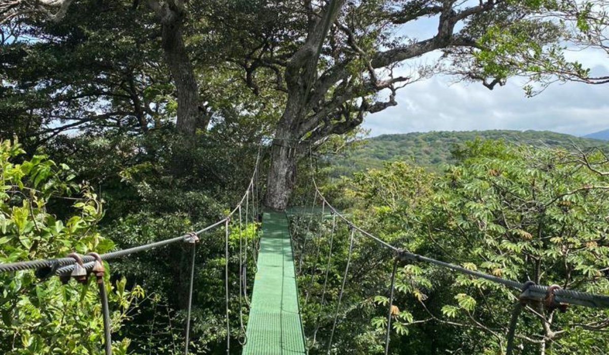 Pont suspendu à Rincon de la Vieja, région incontournable du Costa Rica