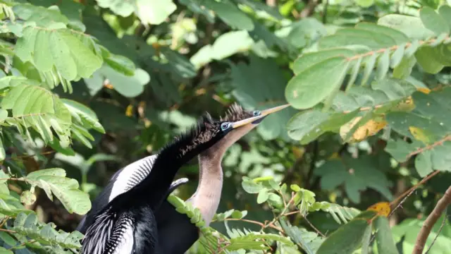 Travelogue: The Authentic North of Costa Rica by Milena and Céline