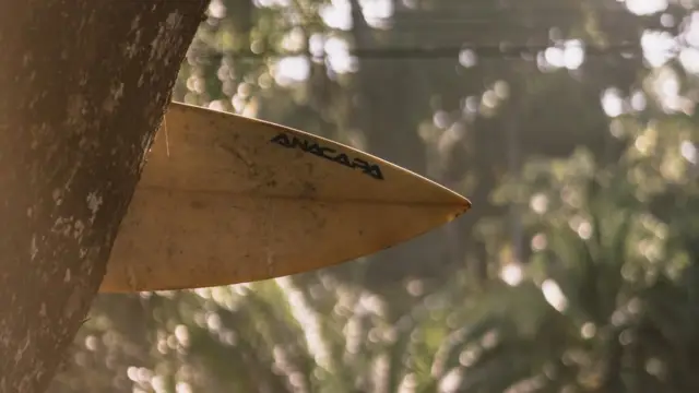 Costa Rica, a paradise for surfing and biodiversity