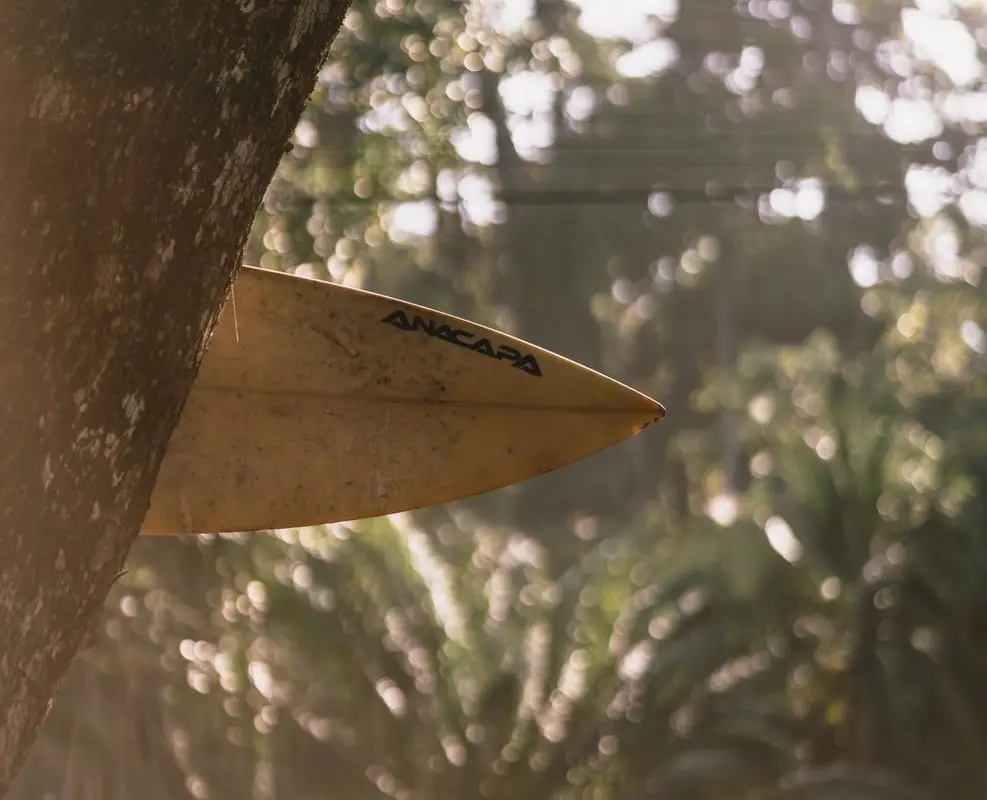 planche tropicale