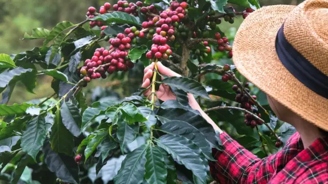 Discover Rural Costa Rica Through 5 Local Experiences