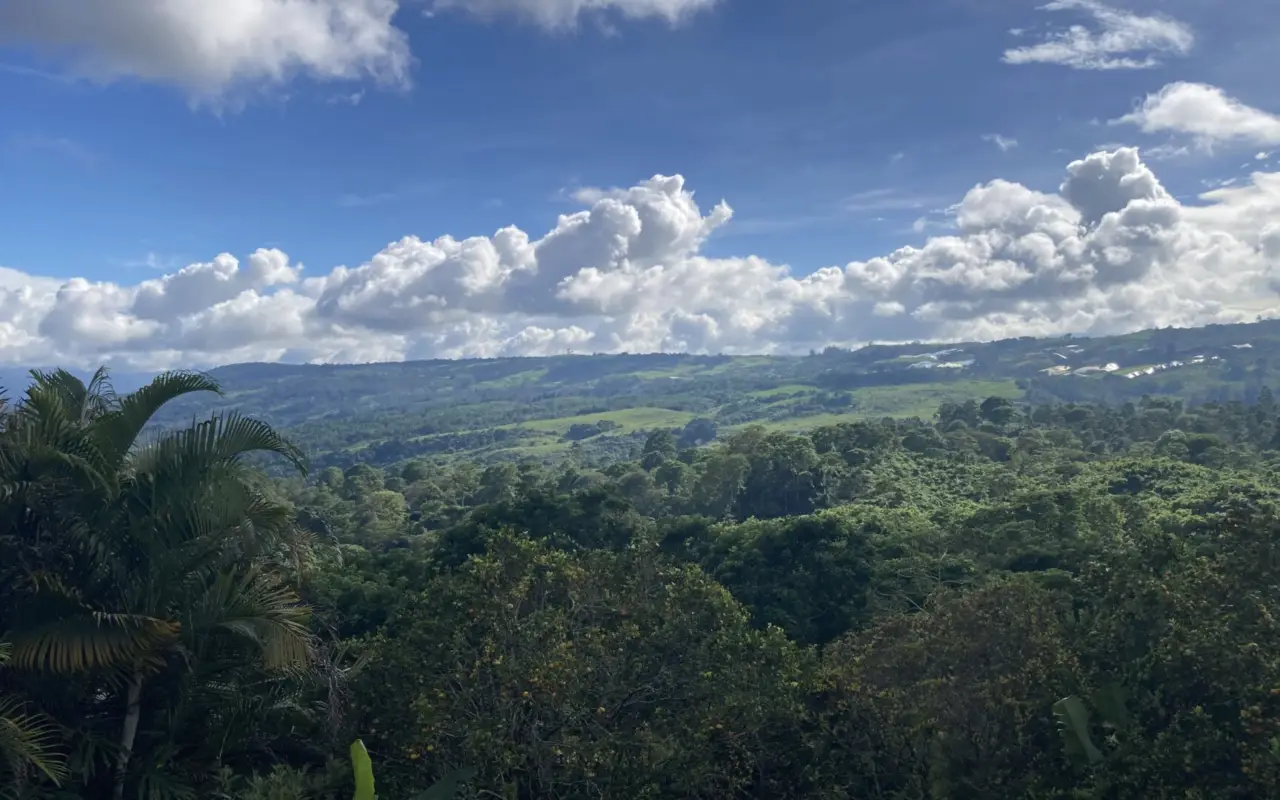 Vallée de Turrialba - décembre 2023