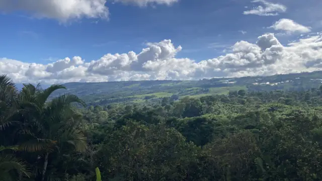 Travelogue: Costa Rica & Rural Tourism with Camille!