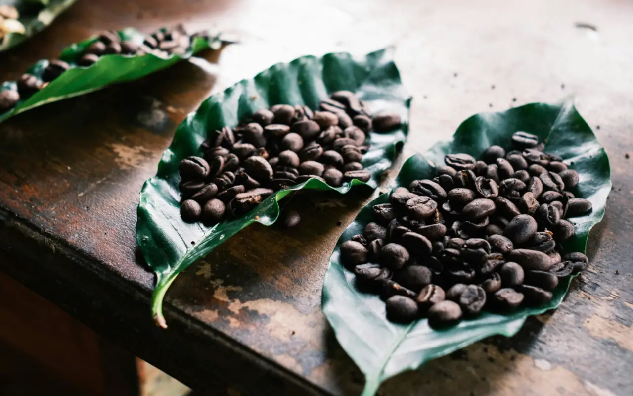 café costa rica