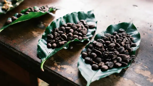 Costa Rica, Land of Coffee: A Guide and Inspiration – by Esteban Alvarado