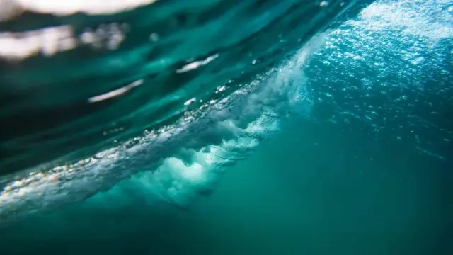 <b>Discover Costa Rica</b><br> through the five senses