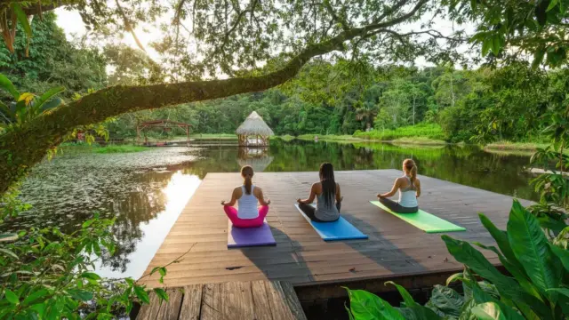 <b>Maquenque Eco Lodge: Sleep </b>in a Treehouse in Costa Rica